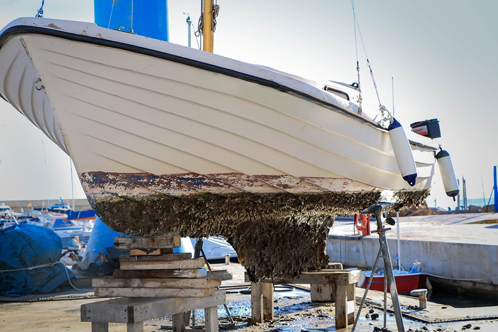 How to Bottom Paint a Boat on a Trailer? - Step by Step ...