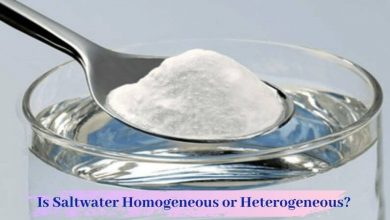 Is Saltwater Homogeneous or Heterogeneous
