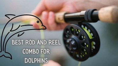 Best rod and reel combo for dolphins